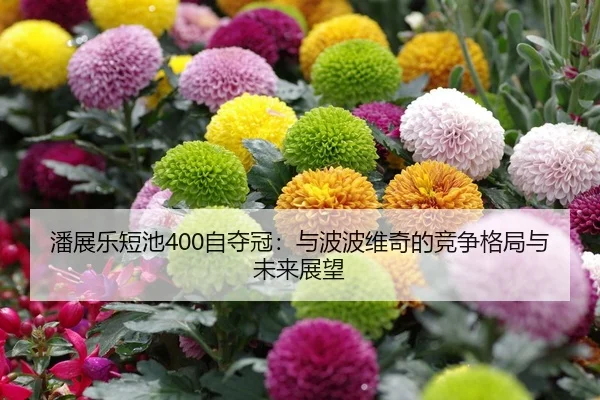 潘展乐短池400自夺冠：与波波维奇的竞争格局与未来展望